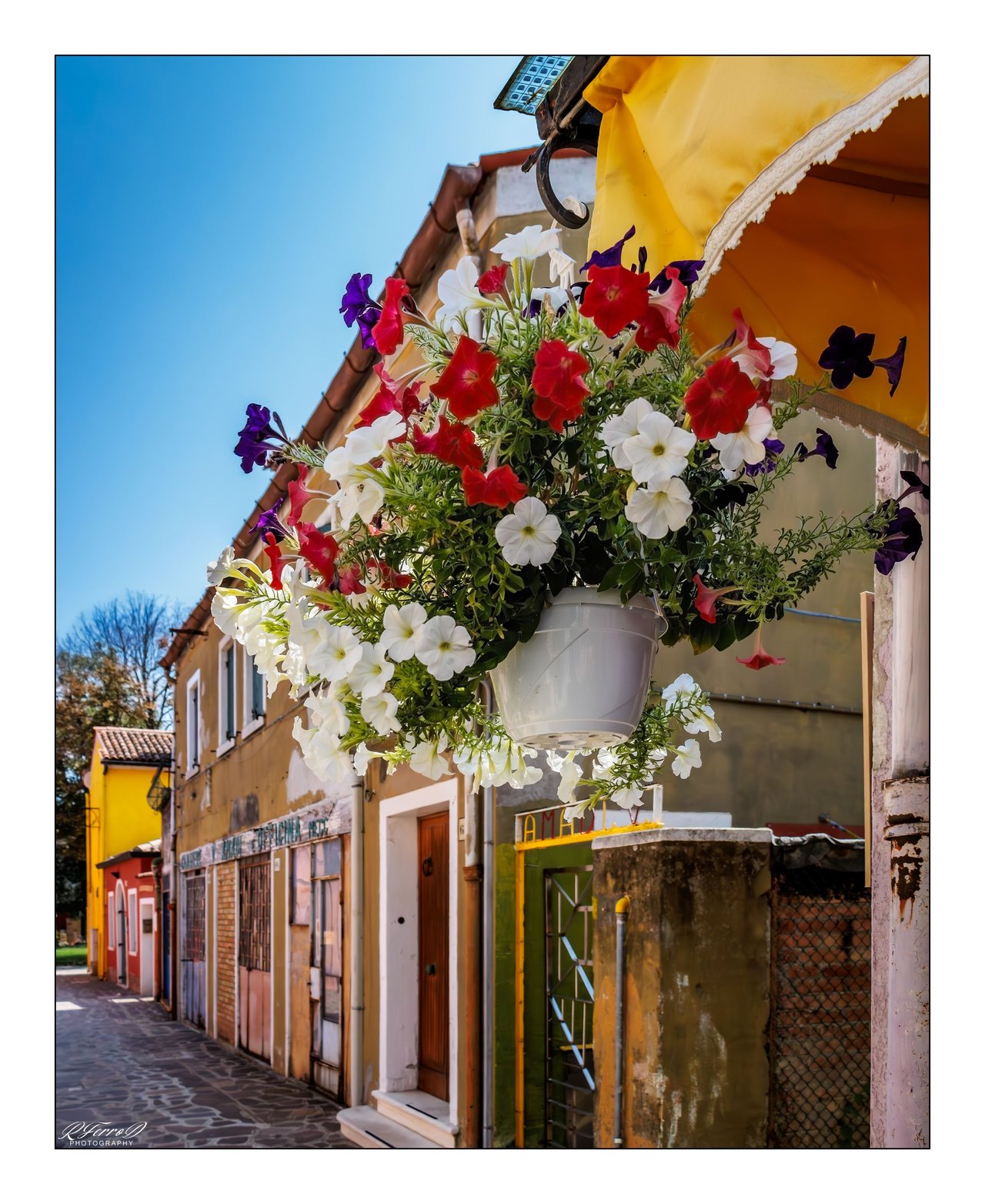 6. Balcones con flores