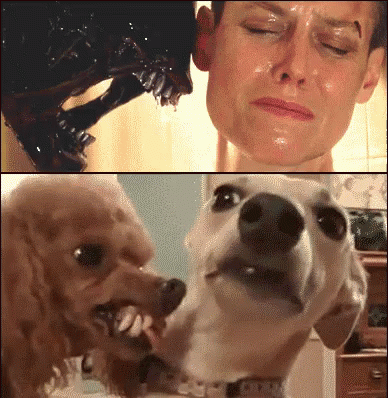untitled.gif