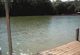 untitled.gif