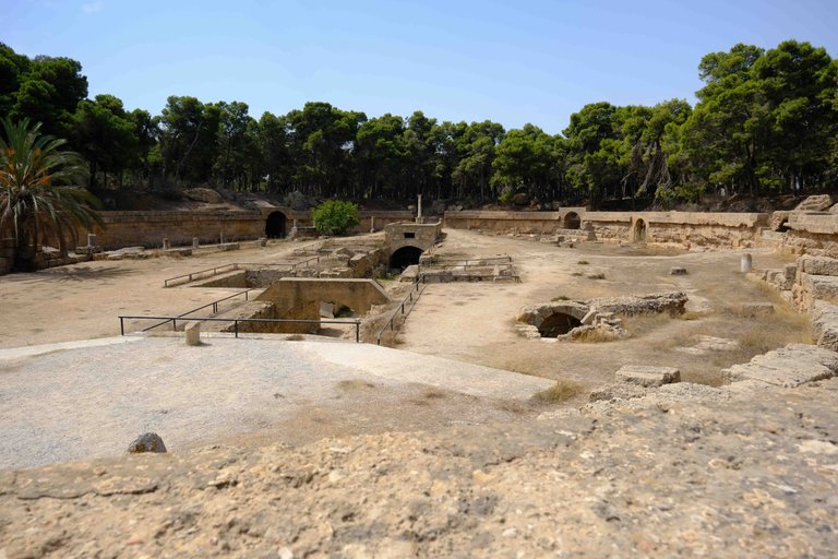Carthage3 (1 of 1).jpg