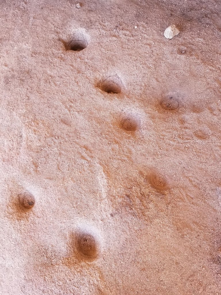 20250328_135649.jpg