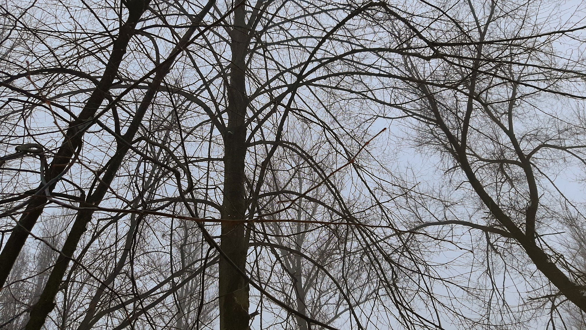 20211229_163209.jpg